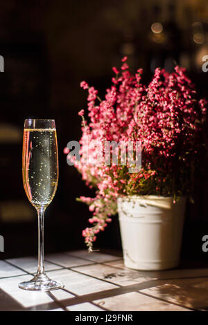 Glas Champagner neben den Blumentopf auf einem Holztisch platziert. Weinkeller-Standort. Stockfoto