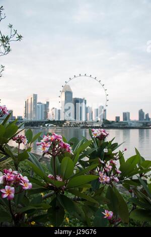 Blick vom Nebelwald über die Bucht in Singapur Stockfoto