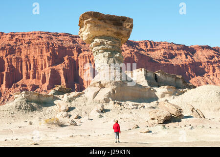 Der Pilz - Ischigualasto Provincial Park - Argentinien Stockfoto