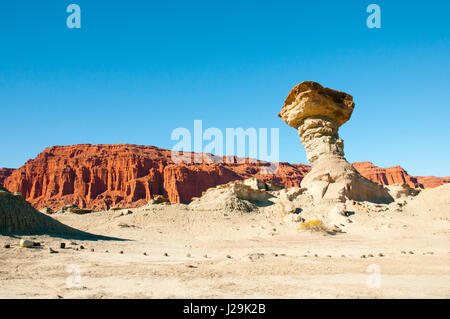 Der Pilz - Ischigualasto Provincial Park - Argentinien Stockfoto