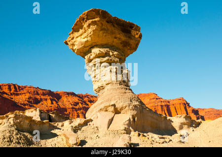 Der Pilz - Ischigualasto Provincial Park - Argentinien Stockfoto