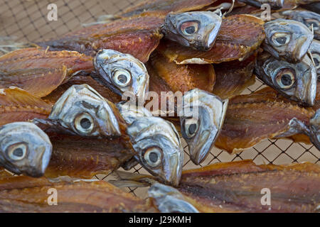 Fische trocknen in der Sonne am Strand von Nazare, Oeste, Distrikt Leiria, Portugal, Europa Stockfoto