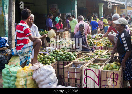 Debitoren und Kreditoren auf Manning zu vermarkten, Pettah-Viertel, Colombo, Sri Lanka Stockfoto