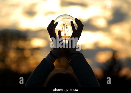 Energie-Glühbirne von Sonnenuntergang auf Hand-Konzept Stockfoto