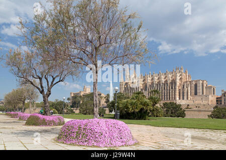 Palau de L´Almudaina und Kathedrale La Seu in Palma de Mallorca, Spanien Stockfoto