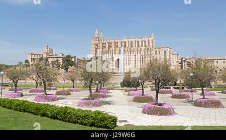 Palau de L´Almudaina und Kathedrale La Seu in Palma de Mallorca gesehen vom Parc De La Mar, Spanien Stockfoto