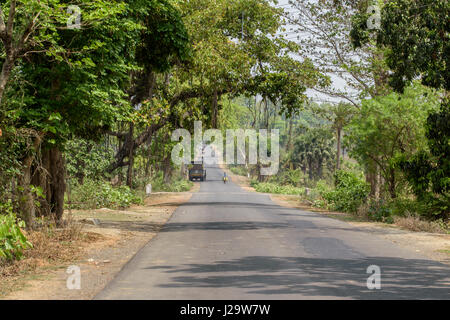 Straße mit Bäumen umgeben Stockfoto