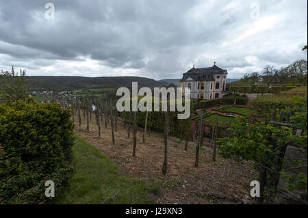 Eines der 3 Dornburger Schlosser ist das Rokoko Schloss. Dornburg-Camburg, Deutschland Stockfoto