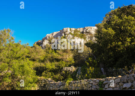 Buskett Gardens Klippen, Malta Stockfoto