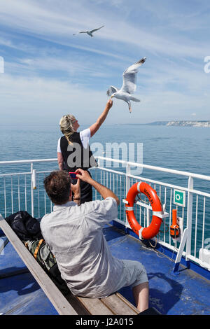 Passagiere, die Möwen, die Anschluss an die Kanal-Fähre Dover, Kent verlassen zu fotografieren Stockfoto