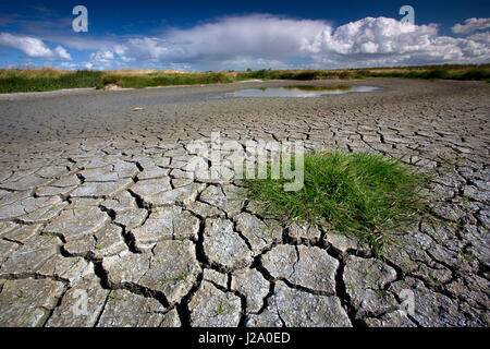 Bodentrockenheit Uitkerkse Polder in der Nähe von Uitkerke, West-Flandern, Belgien Stockfoto