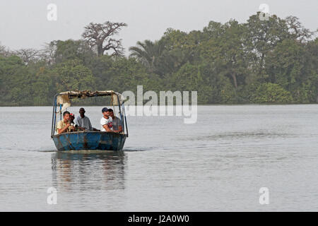 Bootsfahrt auf dem Fluss Gambia im Fluss Gambia National Park Stockfoto