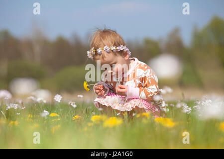 Mädchen im Feld mit Blumen Stockfoto