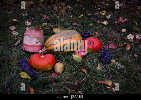 Stillleben mit eine Pumpkins Herbsternte Halloween auf Tha Rasen fallen lässt, Walnüsse, wild rose, Trauben Stockfoto