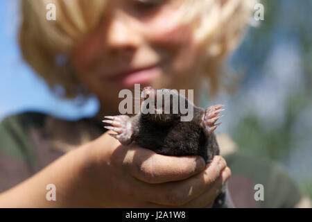 Ein Junge hält einen Maulwurf in der hand Stockfoto