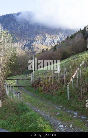 58/5000 Traktor Straße in typisch westliche Landwirt Landschaft in Norwegen. Stockfoto