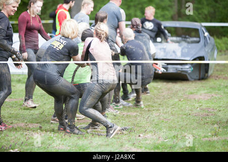 Redaktionelle Bild der Schülerinnen von der Strong Viking Hindernis Rennen in Gent, Belgien am April 22 und 23 2017 Stockfoto