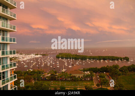 Sonnenuntergang mit Meerblick Coconut Grove Miami Florida Stockfoto