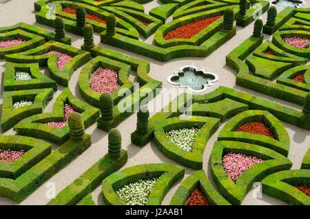 Im Vordergrund der Garten des Schlosses von Villandry, Loire Tal, Frankreich Stockfoto