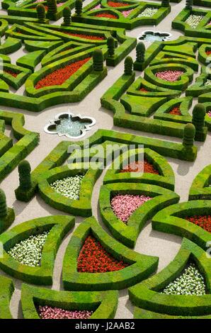 Im Vordergrund der Garten des Schlosses von Villandry, Loire Tal, Frankreich Stockfoto