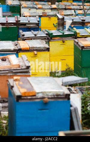 vertikale Ansicht von metallischen Biene Raucher Ausrüstung auf Bienenstöcke Boxen Stockfoto