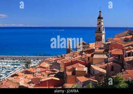 Basilika Saint-Michel, Menton, Alpes-Maritimes, 06, PACA, Cote d ' Azur, Frankreich Stockfoto