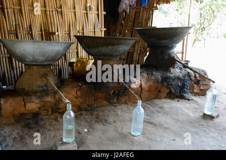 Myanmar (Burma), Mandalay Region, Taungtha, Palmzucker und Alkohol-Produktion Stockfoto