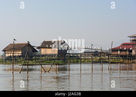 Myanmar (Burma), Shan, Taunggyi, Bootsfahrt auf dem Inle-See Stockfoto