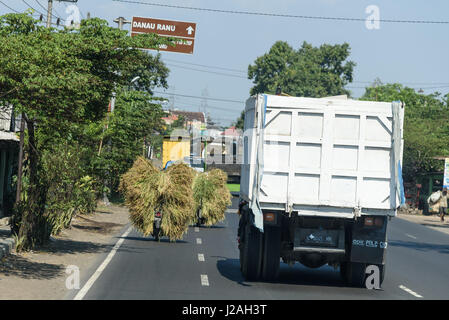 Indonesien, Java Timur, Probolinggo, Straßenszene Stockfoto