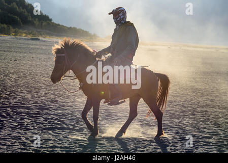 Indonesien, Java Timur, Probolinggo, auf dem Vulkan Bromo Stockfoto