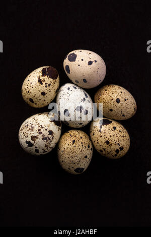 Wachteleier auf einem schwarzen Hintergrund. Viele Wachteleier. Stockfoto