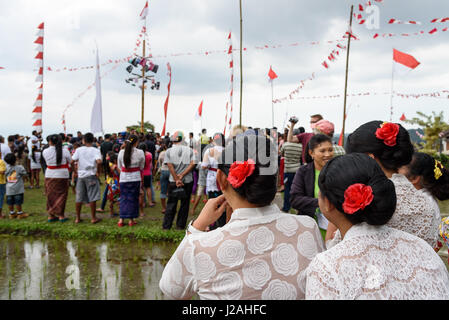 Indonesien, Bali, Kabul Buleleng, Kofferraum klettern die Dorfjugend. Ziel ist es, die Spitze des einen geölten Palm Stängel mit kleinen Geschenken zu erreichen Stockfoto