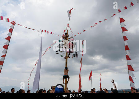 Indonesien, Bali, Kabul Buleleng, Kofferraum klettern die Dorfjugend. Ziel ist es, die Spitze des einen geölten Palm Stängel mit kleinen Geschenken zu erreichen Stockfoto