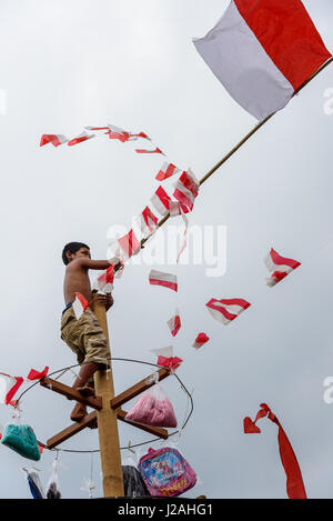 Indonesien, Bali, Kabul Buleleng, Kofferraum klettern die Dorfjugend. Ziel ist es, die Spitze des einen geölten Palm Stängel mit kleinen Geschenken zu erreichen Stockfoto