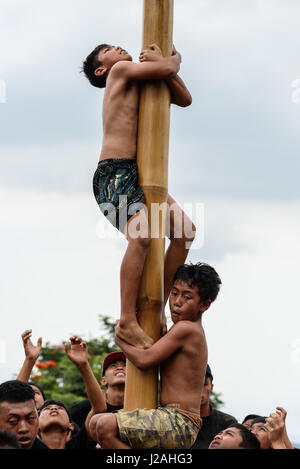 Indonesien, Bali, Kabul Buleleng, Kofferraum klettern die Dorfjugend. Ziel ist es, die Spitze des einen geölten Palm Stängel mit kleinen Geschenken zu erreichen Stockfoto