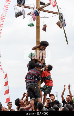 Indonesien, Bali, Kabul Buleleng, Kofferraum klettern die Dorfjugend. Ziel ist es, die Spitze des einen geölten Palm Stängel mit kleinen Geschenken zu erreichen Stockfoto