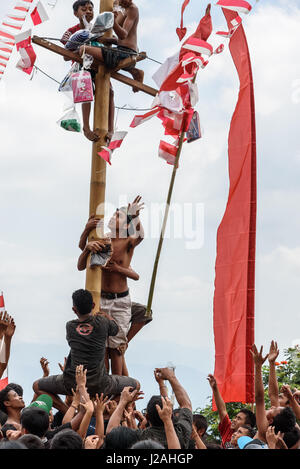 Indonesien, Bali, Kabul Buleleng, Kofferraum klettern die Dorfjugend. Ziel ist es, die Spitze des einen geölten Palm Stängel mit kleinen Geschenken zu erreichen Stockfoto