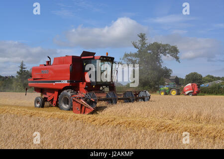 Mähdrescher Case 1660 Stockfoto