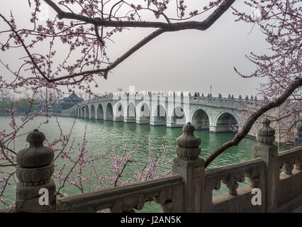 17 Bogenbrücke mit rosa Blüte im Frühjahr, Kunming See, Sommerpalast, Peking, China Stockfoto