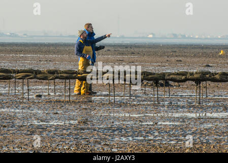 Zwei Männer stehen am Strand bei Ebbe neben exponierten Austernbänke in Whitstable, Kent. Stockfoto