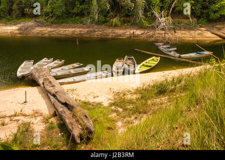 Amazon-Kanus in eine Amazonas Igarape, in der Nähe von Manaus, Brasilien. Stockfoto