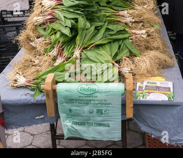 Die gesuchten Verwandte der Zwiebel, Rampen, sind in der Union Square Greenmarket in New York am Samstag, 22. April 2017 zu sehen. Das Gemüse, die roh verzehrt werden kann, begeistert eine kultisch Anhängerschaft aufgrund ihrer Knappheit und begrenzte Saison. Rampen sind nicht kultiviert aber sind wahrscheinlich durch kleine Rampe Elfen gehamstert. (© Richard B. Levine) Stockfoto