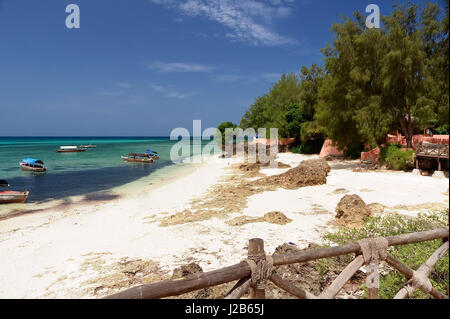 Tropischer Strand und Meer - Gefängnisinsel - Sansibar Tansania Afrika Stockfoto