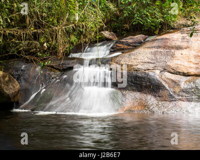 Kleiner Wasserfall zwischen Bäumen, in Joatinga Park, in der Nähe von Paraty, Rio De Janeiro, Brasilien. Stockfoto