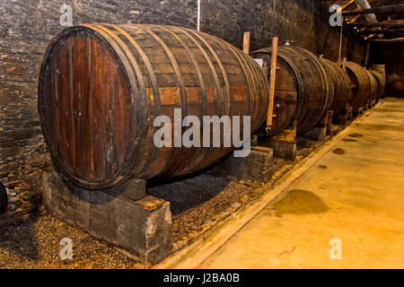 Hafen Weinfässer in einem Weinkeller, Quinta De La Rosa, Pinhao, Alto Douro, Portugal Stockfoto