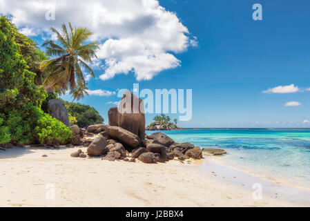 Palmen und Felsen am weißen Sandstrand, Insel Mahe, Seychellen Stockfoto