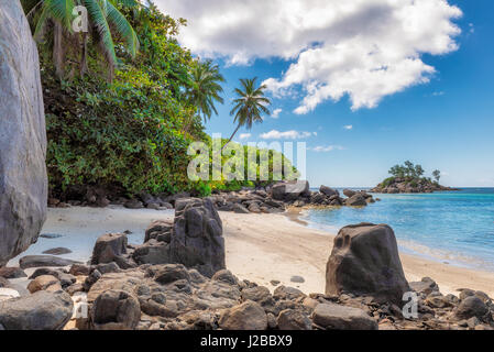 Palmen und schönen Felsen am Strand, Insel Mahe, Seychellen Stockfoto