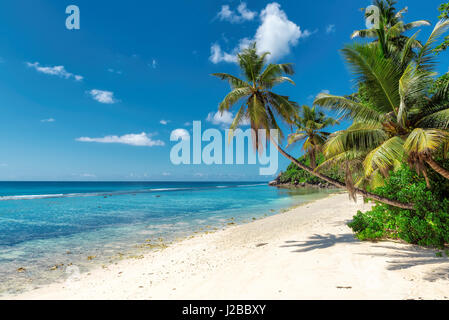 Paradies tropischen Ozeanstrand mit weißem Sand, transparent türkis Wasser und Kokospalmen Baum in hellen, sonnigen Tag Stockfoto