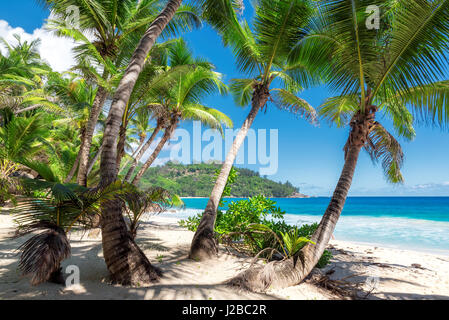 Blick über die Anse Intendance Strand, Insel Mahe, Seychellen. Stockfoto