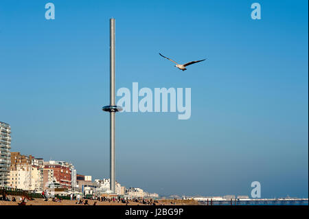 I360, Brighton, UK, 2016. Die British Airways i360 ist die weltweit höchste beweglichen Aussichtsturm und eröffnete im Jahr 2016 auf Brighton Seafront in Sussex. Stockfoto